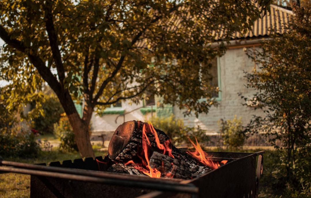 Barbecue Kopen: Gids voor de Beste BBQ in 2026
