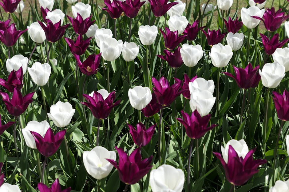 Mollen in de tuin: diervriendelijk verjagen zonder vergif