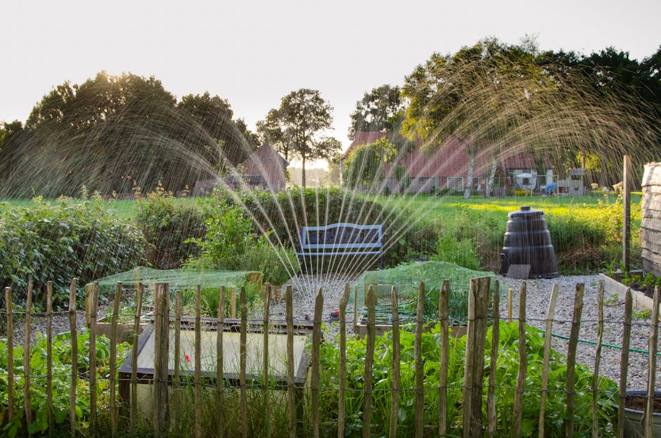 Slimme tuinberegening instellen: minder water, gezonder gazon