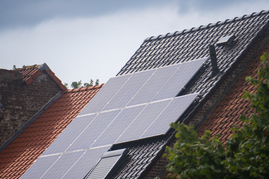Zonnepanelen subsidie 2026: alle regelingen op een rij